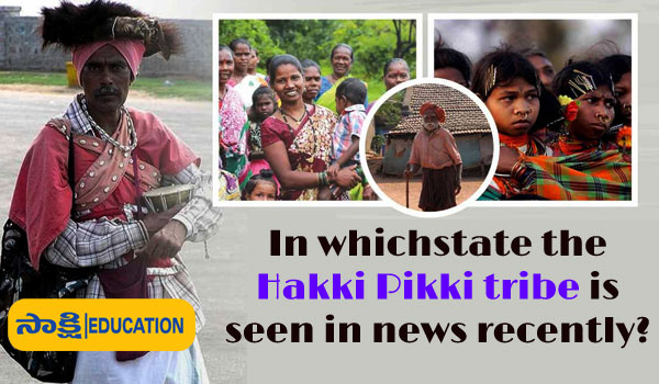 Hakki Pikki tribe