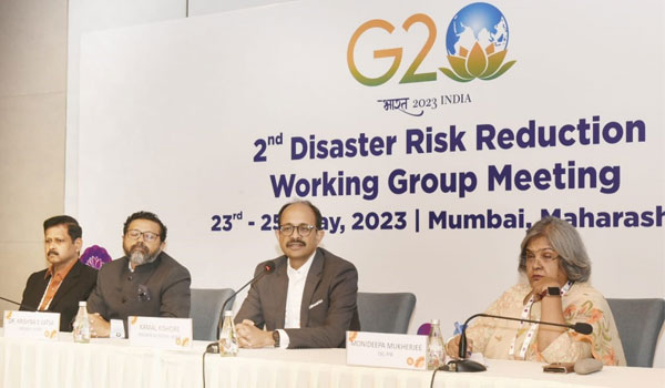 G-20 Disaster Risk Reduction Working Group 