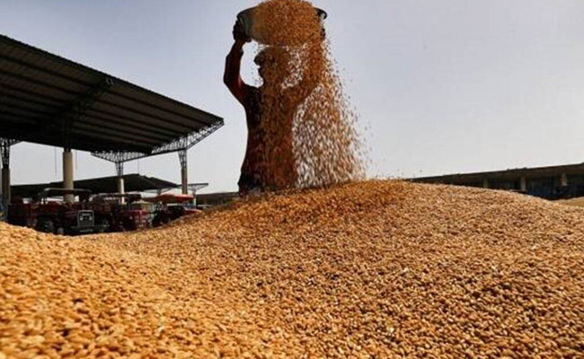 Centre asks states to ensure wheat stock disclosures to bring transparency in its availability
