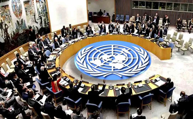 India criticises delay in reforms at UN Security Council