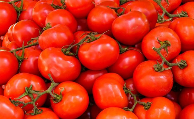 Centre slashes price of Tomato sold by NCCF, NAFED from today