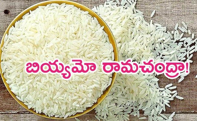 India's Rice Exports Ban