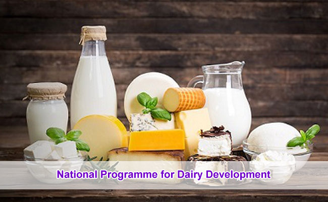National Programme for Dairy Development