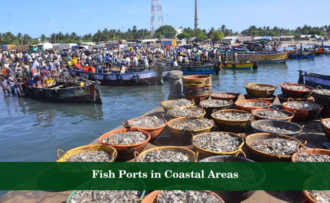 Fish Ports in Coastal Areas