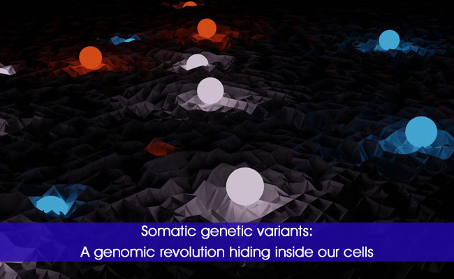 Somatic genetic variants: A genomic revolution hiding inside our cells