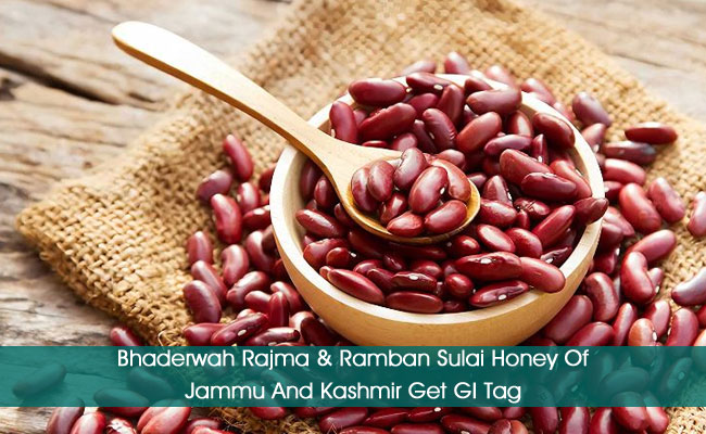 Bhaderwah Rajma & Ramban Sulai Honey Of Jammu And Kashmir Get GI Tag