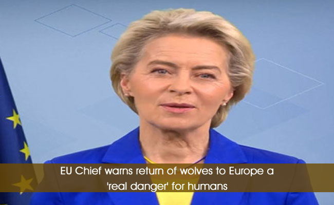 EU Chief warns return of wolves to Europe a 'real danger' for humans