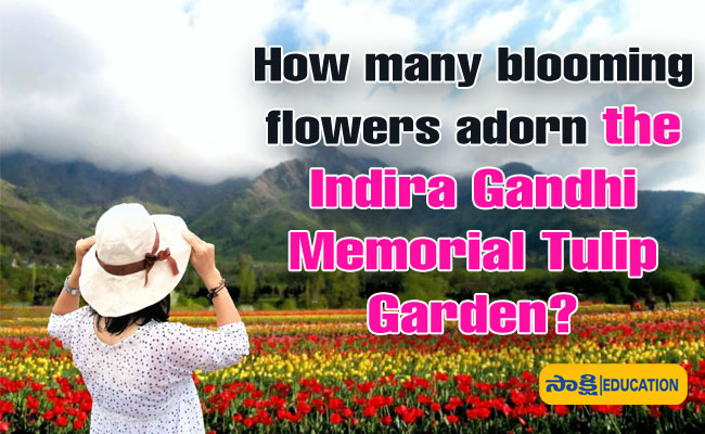 How many blooming flowers adorn the Indira Gandhi Memorial Tulip Garden?