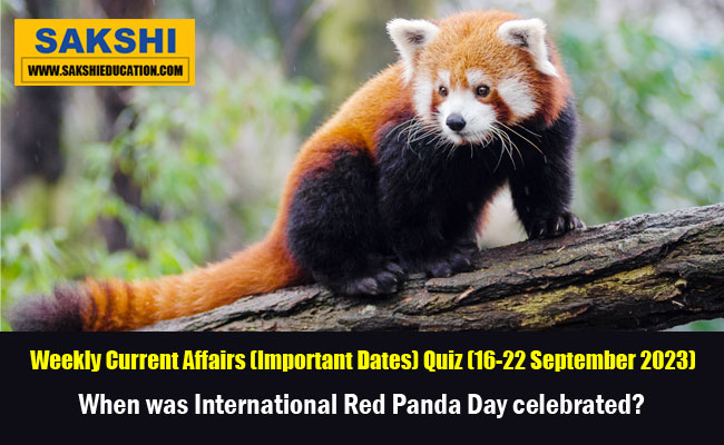 When was International Red Panda Day celebrated?