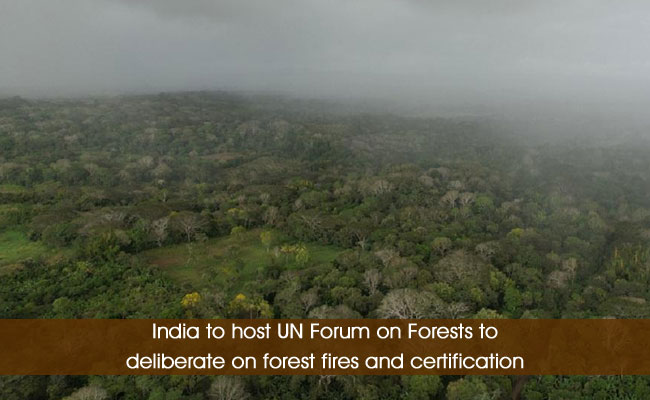 India to host UN Forum on Forests to deliberate on forest fires and certification