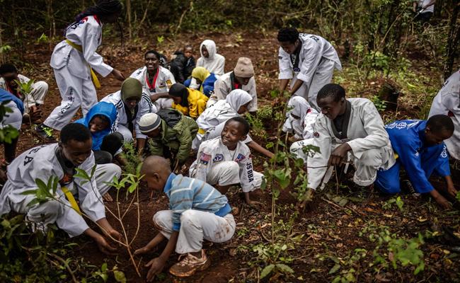 Kenya declares surprise public holiday to plant trees
