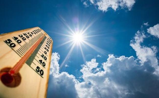 WMO Declares 2023 the Hottest Year in History  2023 set to be hottest year on record   World Meteorological Organization's Update