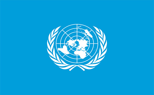 India elected member of executive committee of UN's food standard  