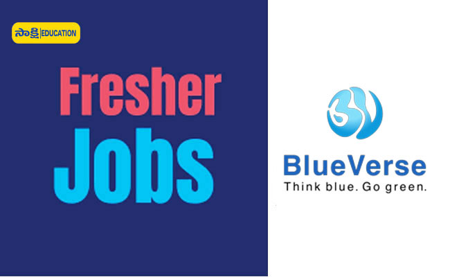 blueverse india private limited jobs