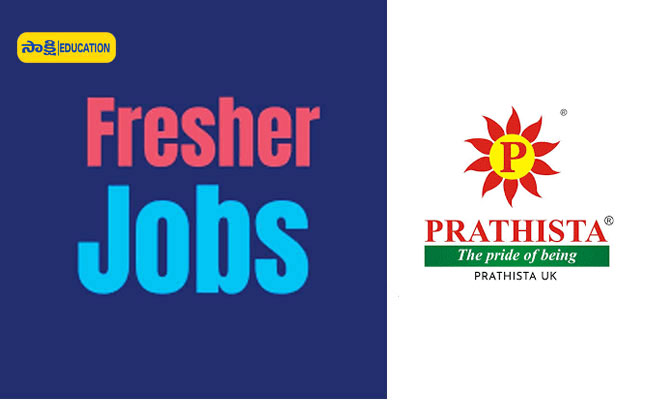 Prathista Industries Limited 