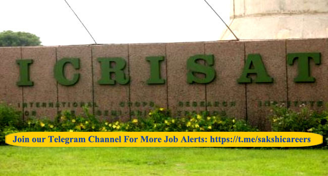 Senior Field Assistant Job in ICRISAT 