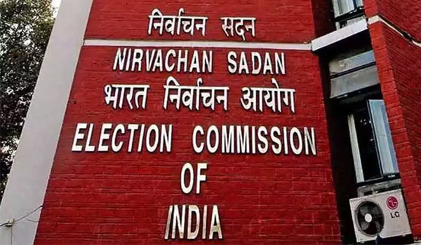 Guidelines for Election Campaign  key decision of the Central Election Commission   Central Election Commission Announcement