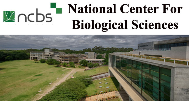 NCBS Various Posts Recruitment 2024 