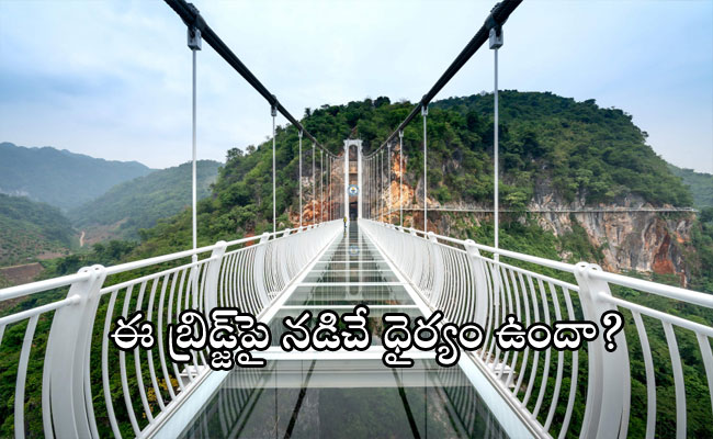 Longest Glass Bridge In World    Bac Long Bridge in Vietnam