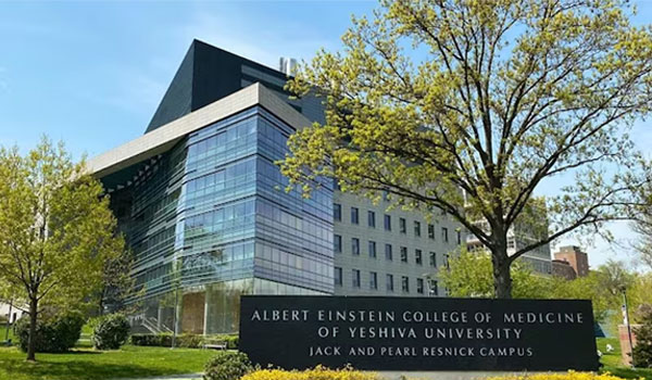 Albert Einstein College of Medicine   New York Medical School Scrap Tuition Fees After Getting Donation    Reduced Fee Burden for Students