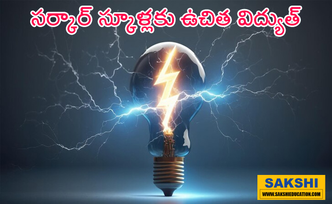 Free electricity for government schools    Government policy announcement regarding free electricity for schools