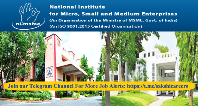 NI-MSME Various Posts Recruitment 2024 Notification 