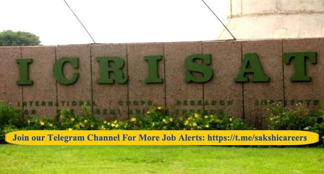 ICRISAT Recruitment 2024  Job vacancy announcement Eligibility criteria