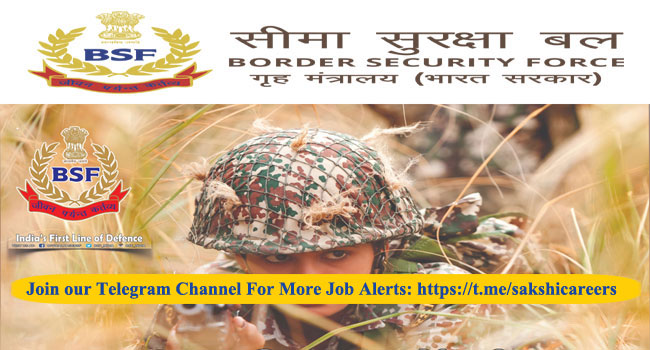 Border Security Force Group B & C Notification 2024 