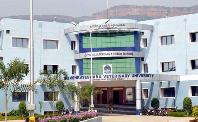 Sri Venkateswara Veterinary University  PhD course admission announcement for SVVU 2024-25   dmissions at Sri Venkateswara Veterinary University in Ph.D Courses