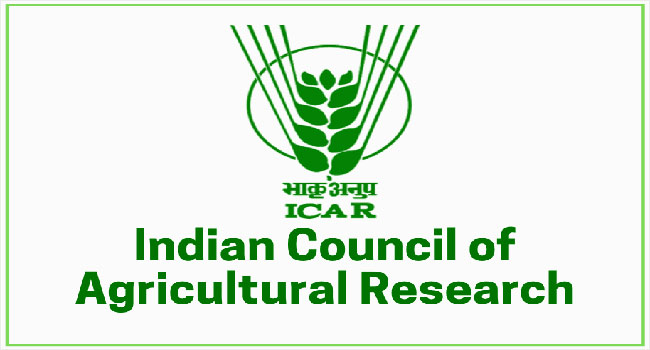 Application Submission Process  ICAR CTRI Young Professional Recruitment 2024  Young Professional II Recruitment Notification
