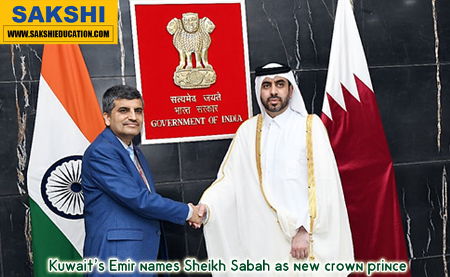 India, Qatar Hold First Meeting Of Joint Task Force On Investment In New Delhi