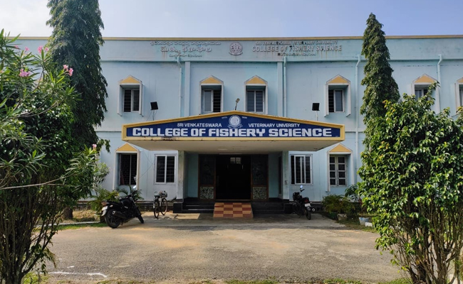 Andhra Pradesh Fisheries University   Academic year 2024-25  Affiliated colleges of APFU  Admissions for Diploma Courses in AP Fisheries University  Fisheries diploma course admission announcement  