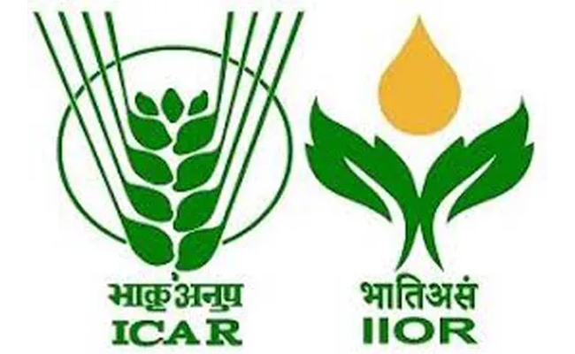 IIOR Hyderabad  ICAR Indian Institute of Oilseeds Research  unior Research Fellow job advertisement  Applications for junior research fellow posts at ICAR-IIOR  Junior Research Fellow recruitment notice  