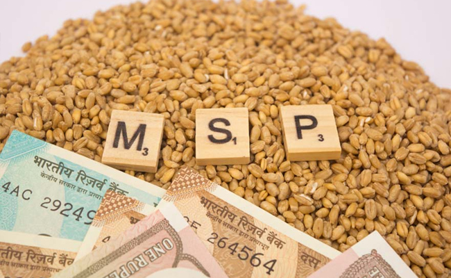 Government decision on agricultural prices  Ashwini Vaishnav announcing MSP increase  MSP hike for 14 Kharif crops   Union Cabinet meeting Union Minister Ashwini Vaishnav announces MSP hike for 14 kharif crops  Central government increases the Minimum Support Price for rice crop