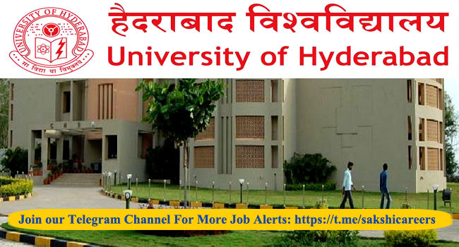 University of Hyderabad Recruitment 2024 