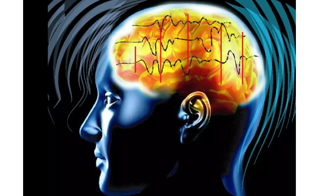 Development of a mini brain with 3D mapping