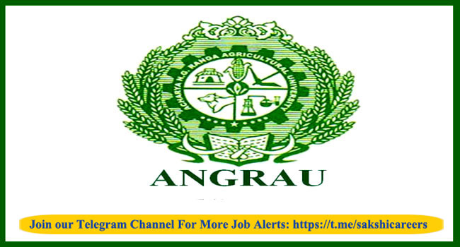 ANGRAU Hiring Bee Professional!