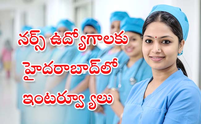 Germany Nurse Job Interviews  Nurse Jobs Germany July 9th to 17th  Nurse Jobs  Interviews for Nurse Jobs in Germany  Nurse Job Interviews Begumpet Plaza Hotel  