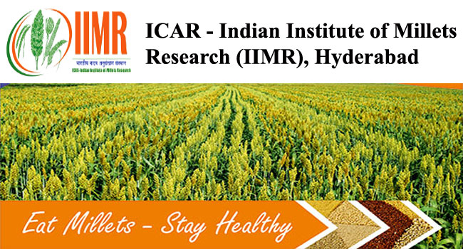 ICAR-IIMR is Hiring Young Professionals and Field Worker  ICAR Millets Research Young Professional II recruitment  Apply via email for ICAR Millets Research jobs  Hyderabad ICAR Millets Research recruitment details  ICAR Millets Research eligibility criteria  ICAR Millets Research Field worker vacancy 