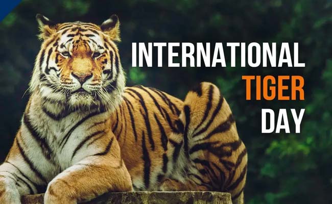 International Tiger Day Date and history  International Tiger Day logo with tiger stripes and date July 29  Tiger conservation awareness  