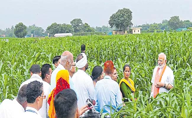 PM Modi Releases 109 New Climate Resilient Seed Varieties to Boost Farm Productivity 