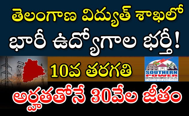 3000+ Telangana Electricity Department Jobs Notification