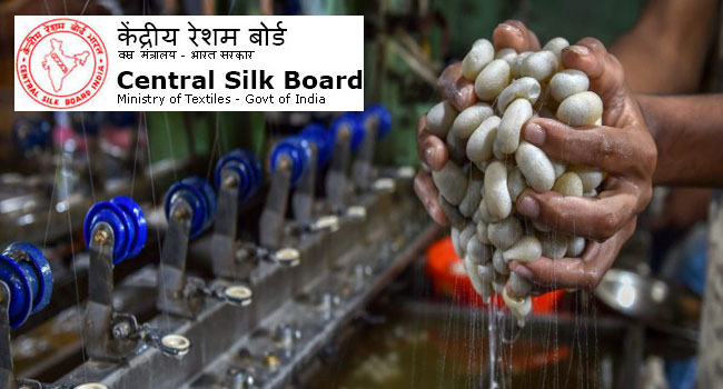 Central Silk Board Recruitment 2024  Central Silk Board recruitment notification for Scientist B Eligibility criteria for Central Silk Board Scientist B position Online application form for Central Silk Board Scientist B recruitment Central Silk Board Scientist B recruitment details  Central Silk Board application instructions 