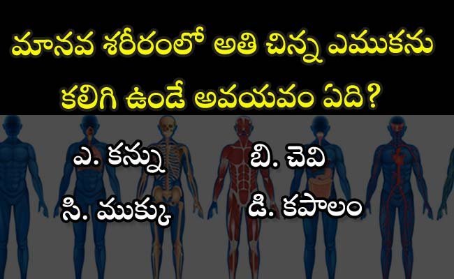 Psychology Telugu Bitbank