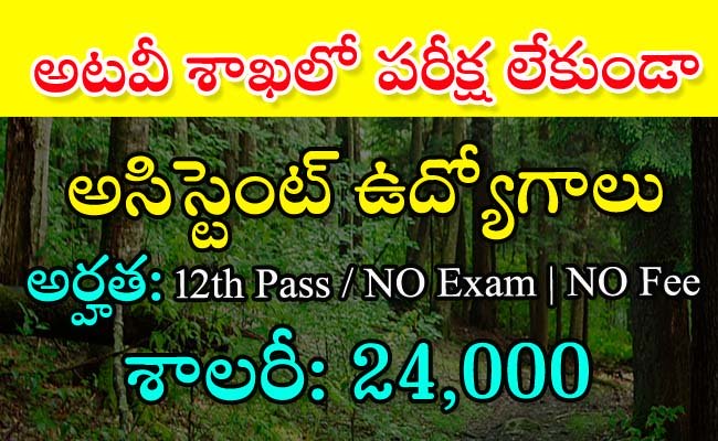 Forest Department jobs