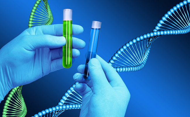 Questions and benefits on DNA finger printing in science and technology