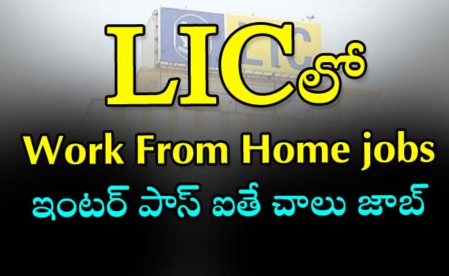 LIC Work From Home jobs