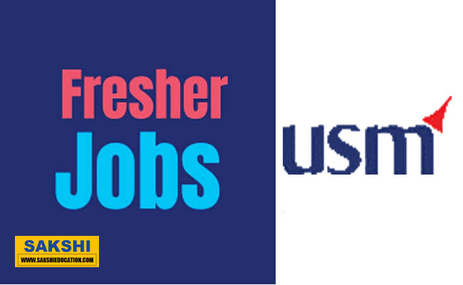 USM Systems Hiring Freshers 