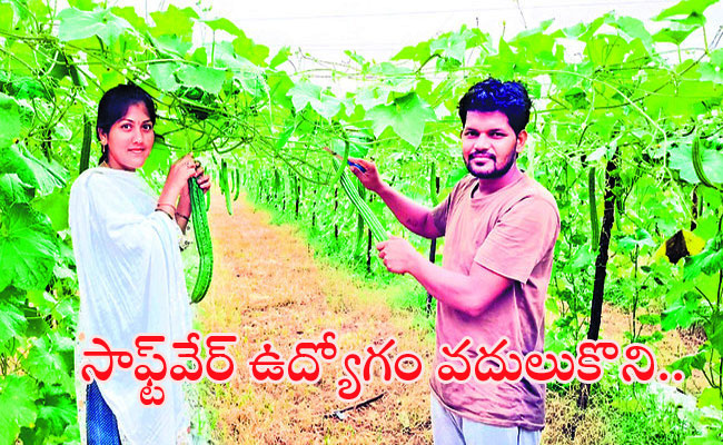 Sucess Story From Software Engineer to Farmer sucess story