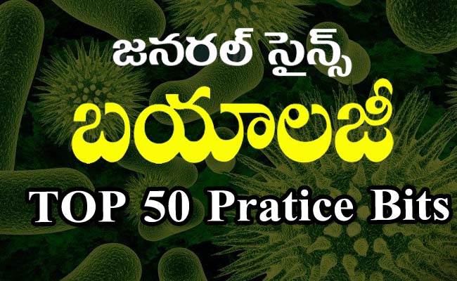 General Science Biology Bitbank  Biology bits on human digestive system in Telugu